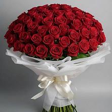 Букет 101 Красная роза Блэк Мэджик в Черемном