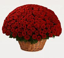 Премиум букет из: Розы в Черемном