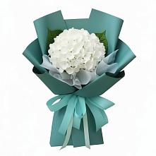 Букет цветов из:  Гортензия #REPLACE_PRED# Черемном